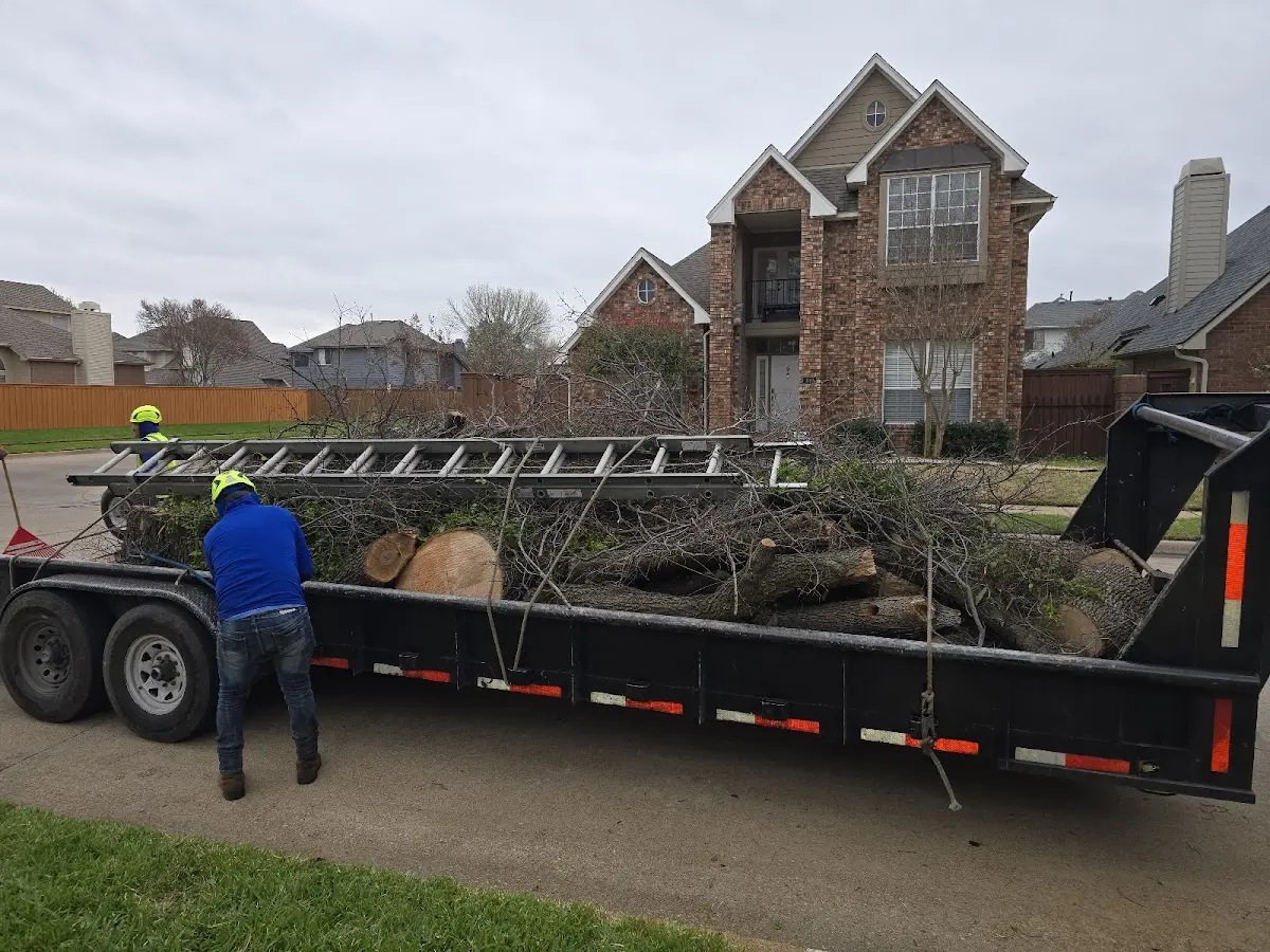 Expert Tree Removal with proper safety equipment in Port Richey